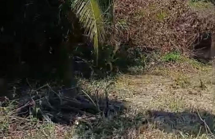 Vente Maison 75m&sup2; 4 pièces Remire Montjoli