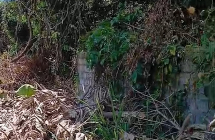 Vente Maison 75m&sup2; 4 pièces Remire Montjoli