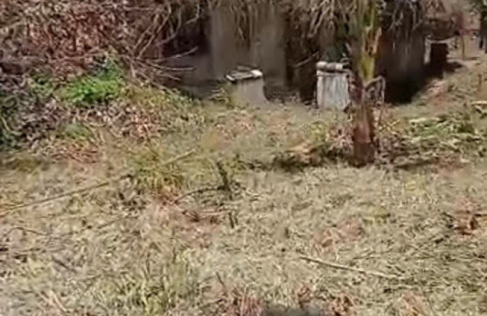 Vente Maison 75m&sup2; 4 pièces Remire Montjoli