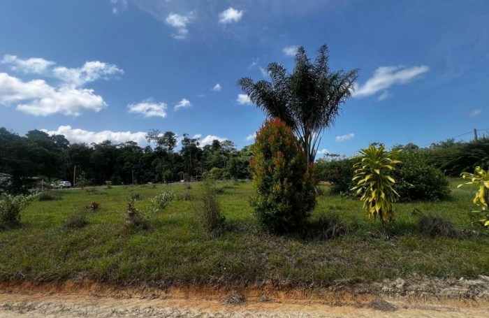 Location Maison 81m&sup2; 4 pièces Kourou