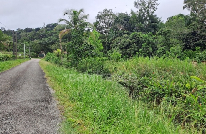 Vente Terrain 3444m&sup2; Matoury