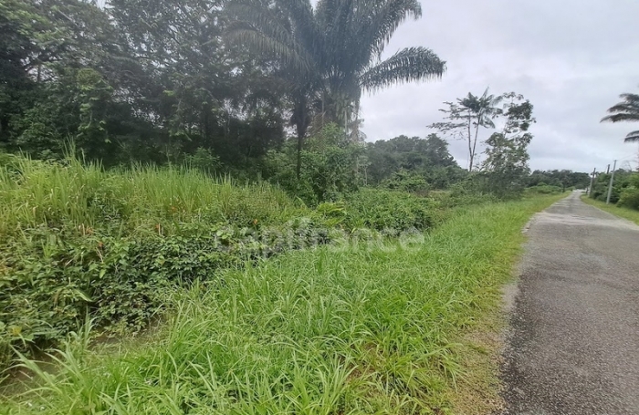 Vente Terrain 3444m&sup2; Matoury