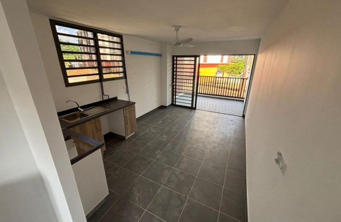 Location Appartement 97354