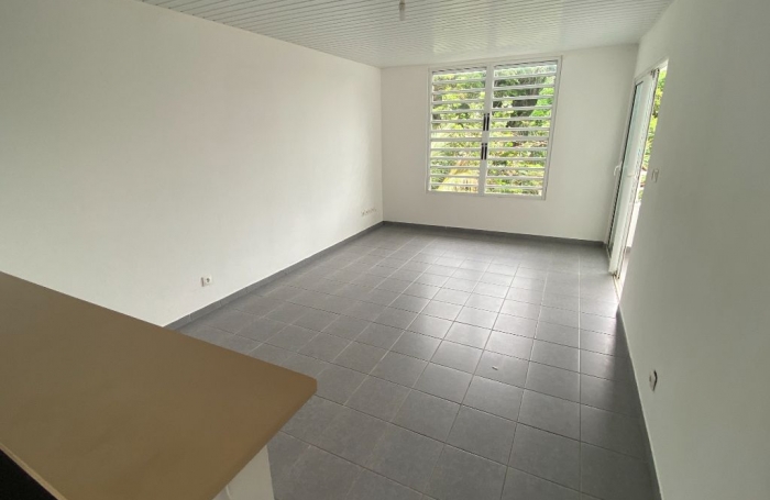 Location Appartement 97300