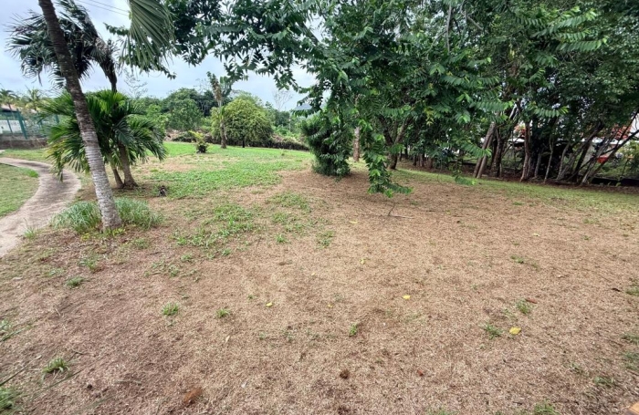 Vente Maison 246.86m&sup2; 6 pièces Remire Montjoli