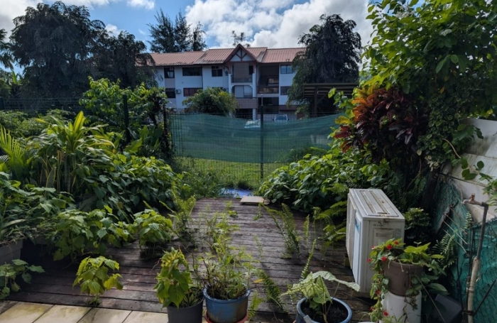 Vente Appartement 30m&sup2; 1 pièce Cayenne