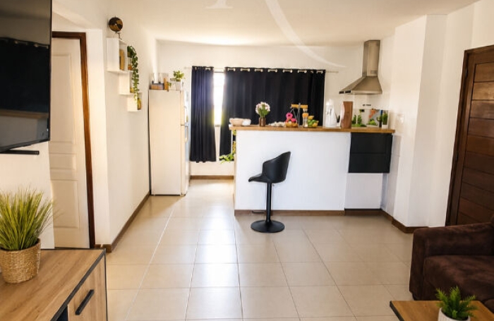 Vente Appartement 