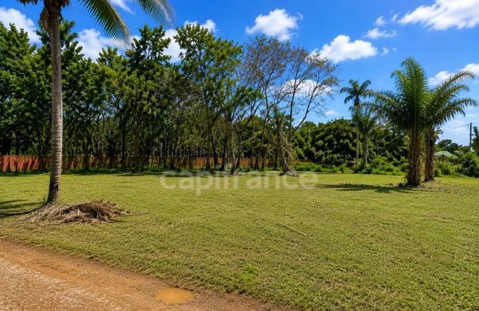 Vente Terrain 97355
