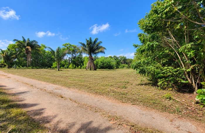 Vente Terrain 1008m&sup2; Macouria Tonate