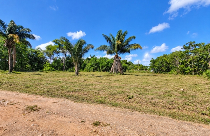 Vente Terrain 1010m&sup2; Macouria Tonate
