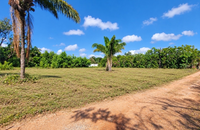 Vente Terrain 1010m&sup2; Macouria Tonate