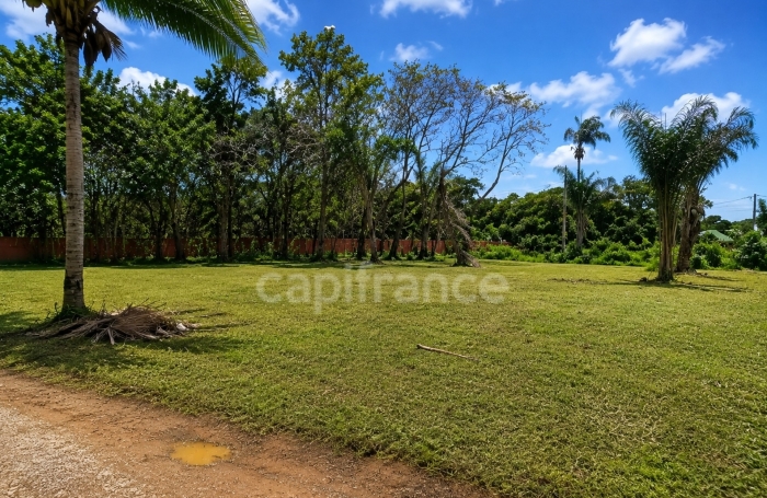 Vente Terrain 1010m&sup2; Macouria Tonate