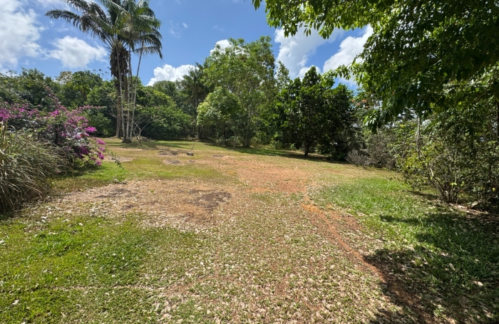 Vente Terrain 97351