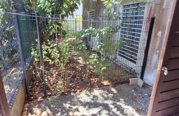 Vente Appartement 1 pièce Cayenne