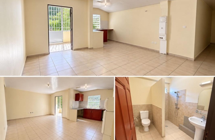Location Appartement 53.98m&sup2; 3 pièces Saint Laurent