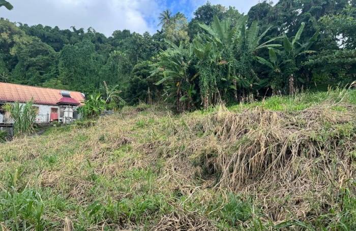 GOURBEYRE - TERRAIN A BATIR