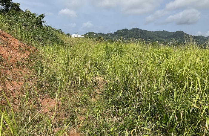 Terrain à bâtir de 473.38 m2