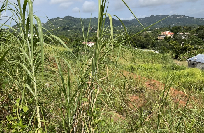 Terrain &agrave; b&acirc;tir de 473.38 m2