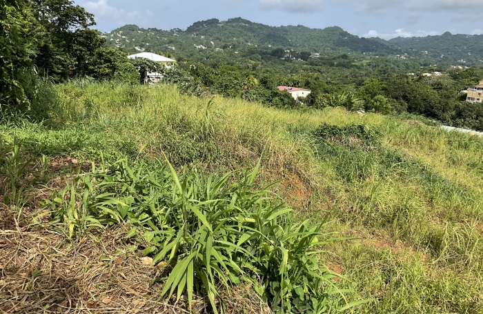 Terrain à bâtir de 507.05 m2