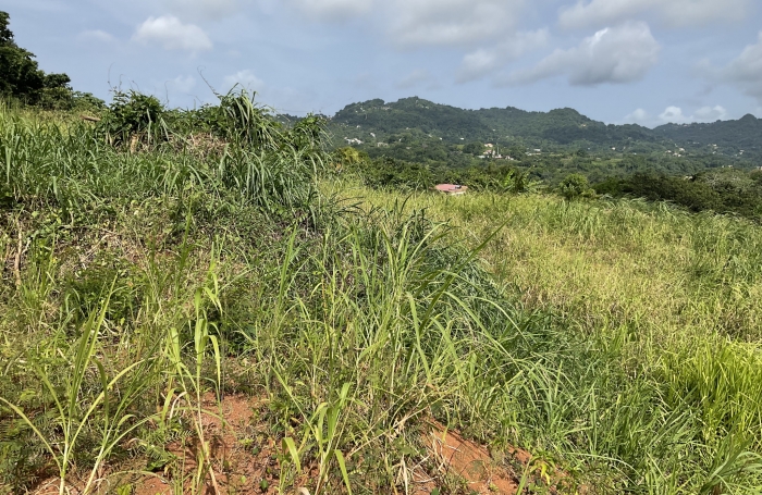 Terrain &agrave; b&acirc;tir de 507.05 m2