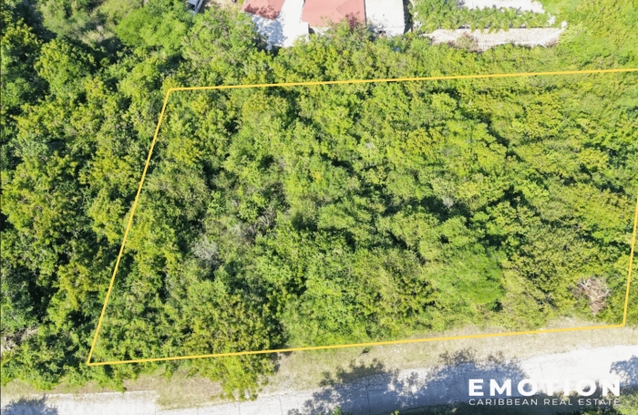 Terrain 1 537 m2 - Constructible - Oyster Pond Estate