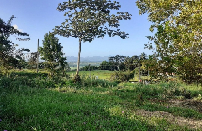 Vente Terrain 1704m&sup2; Le Lamentin