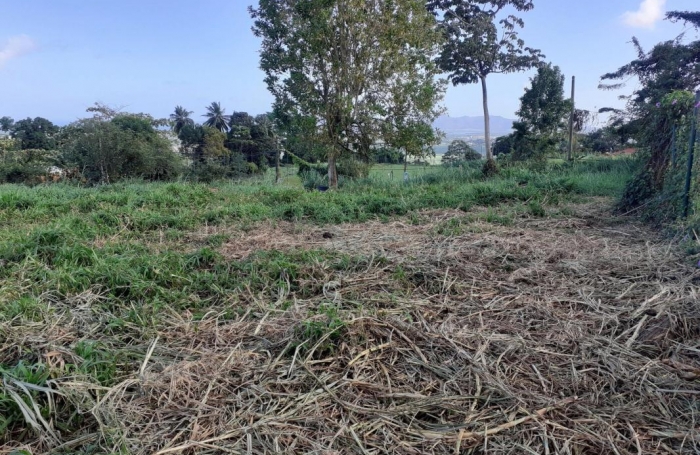 Vente Terrain 1704m&sup2; Le Lamentin