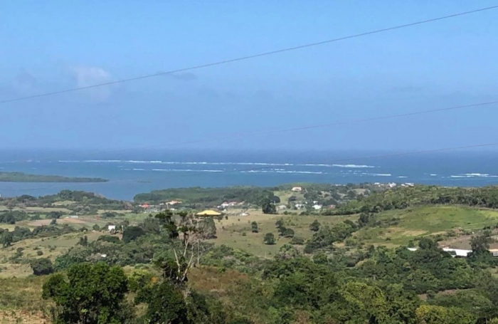 Vente Terrain 97290