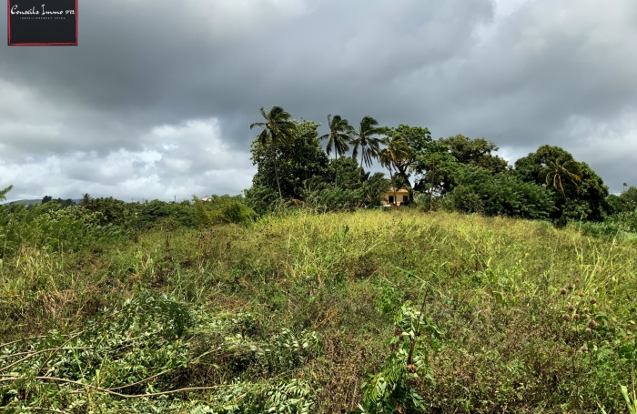 À vendre à Sainte-Marie - Terrain idéal promotion immobilière