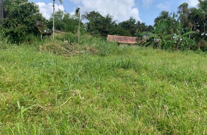 Vente Terrain 1312m&sup2; Le Lorrain