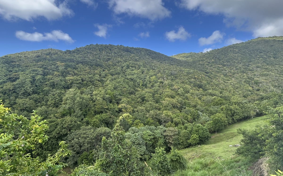 SAINTE LUCE - VILLA T4 - Vue dégagée Campagne - 269 000€ FAI