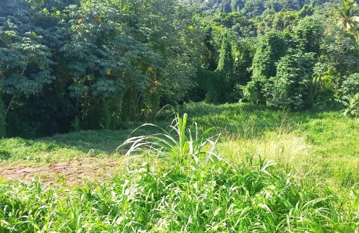 Roches carrées beau foncier 2100 m2