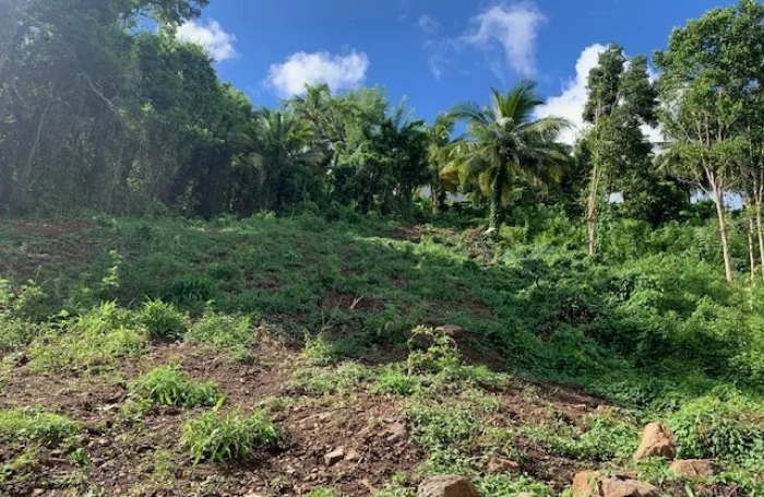 Vente Terrain 4210m&sup2; Rivière Salée