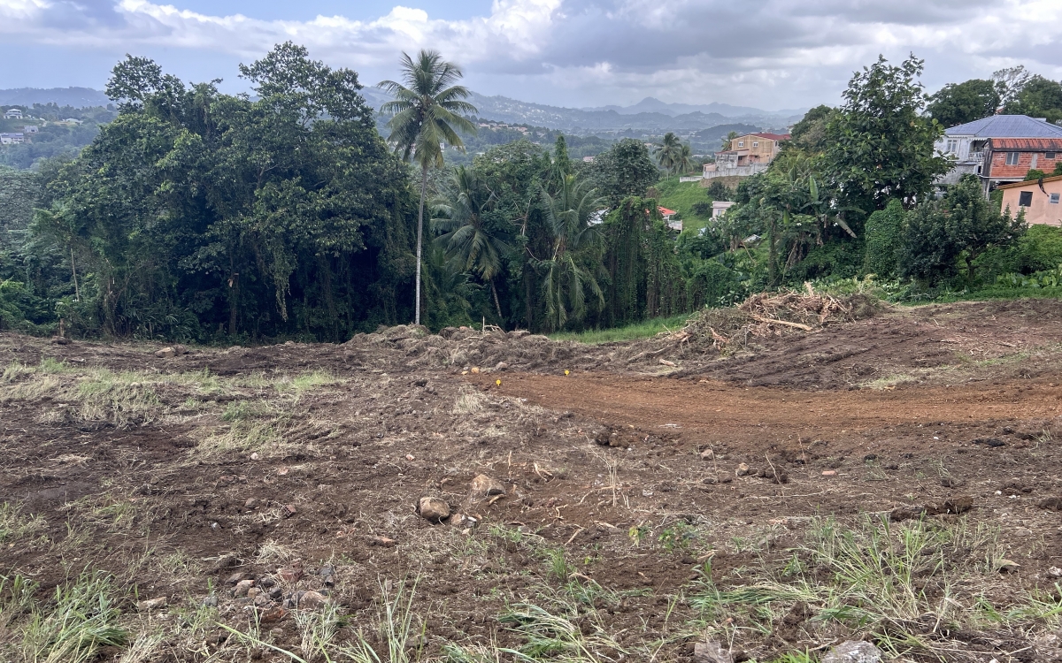 Terrain de 1479 m2 au Lamentin pour votre future villa
