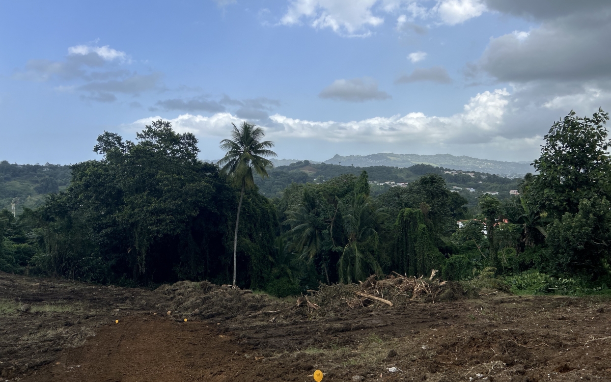 Terrain de 1479 m2 au Lamentin pour votre future villa