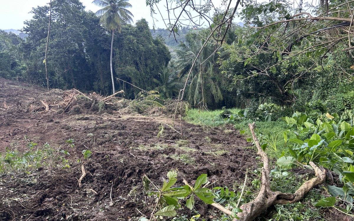 Terrain de 1479 m2 au Lamentin pour votre future villa