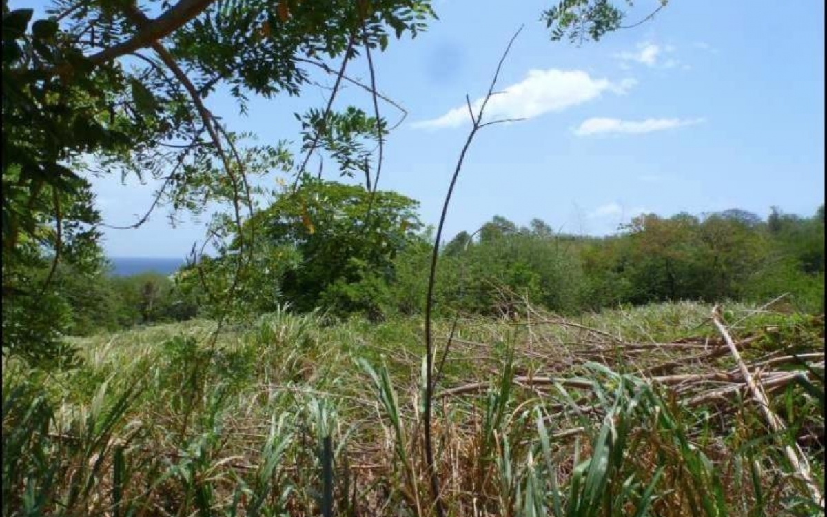 Saint Pierre - Terrain de 2658 m² Vue mer 