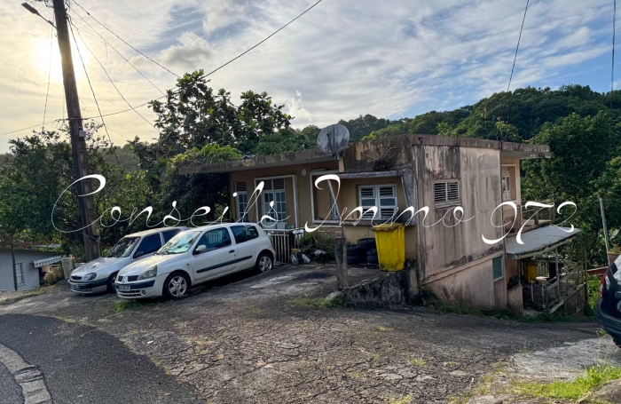 Vente Immeuble 97211