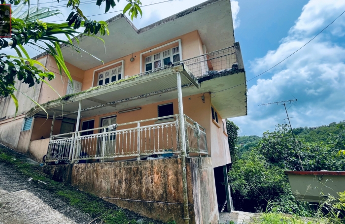 Vente Immeuble de Rapport à Rivière-Pilote, Martinique - Opportunité d'Investissement Immobilier