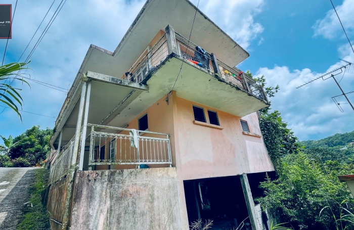 Vente Immeuble de Rapport à Rivière-Pilote, Martinique - Opportunité d'Investissement Immobilier