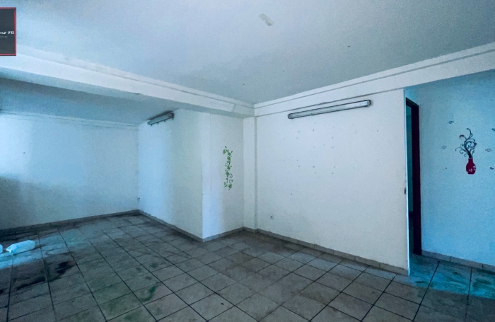 Vente Immeuble de Rapport à Rivière-Pilote, Martinique - Opportunité d'Investissement Immobilier