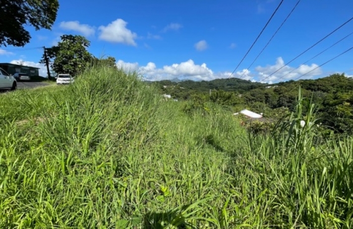 Terrain de 1407 m2 en bordure de route - SAINT-JOSEPH
