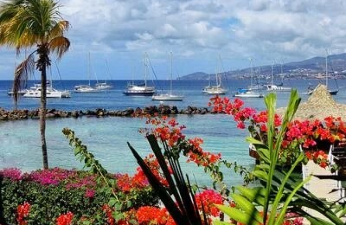 Vente Fonds de commerce 2 pi&#232;ces Les Trois Ilets