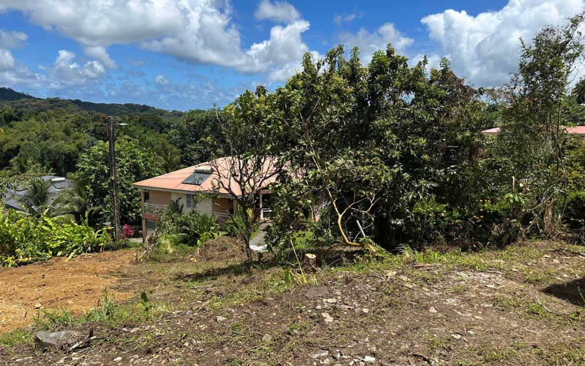 TERRAIN  CONSTRUCTIBLE 780M²