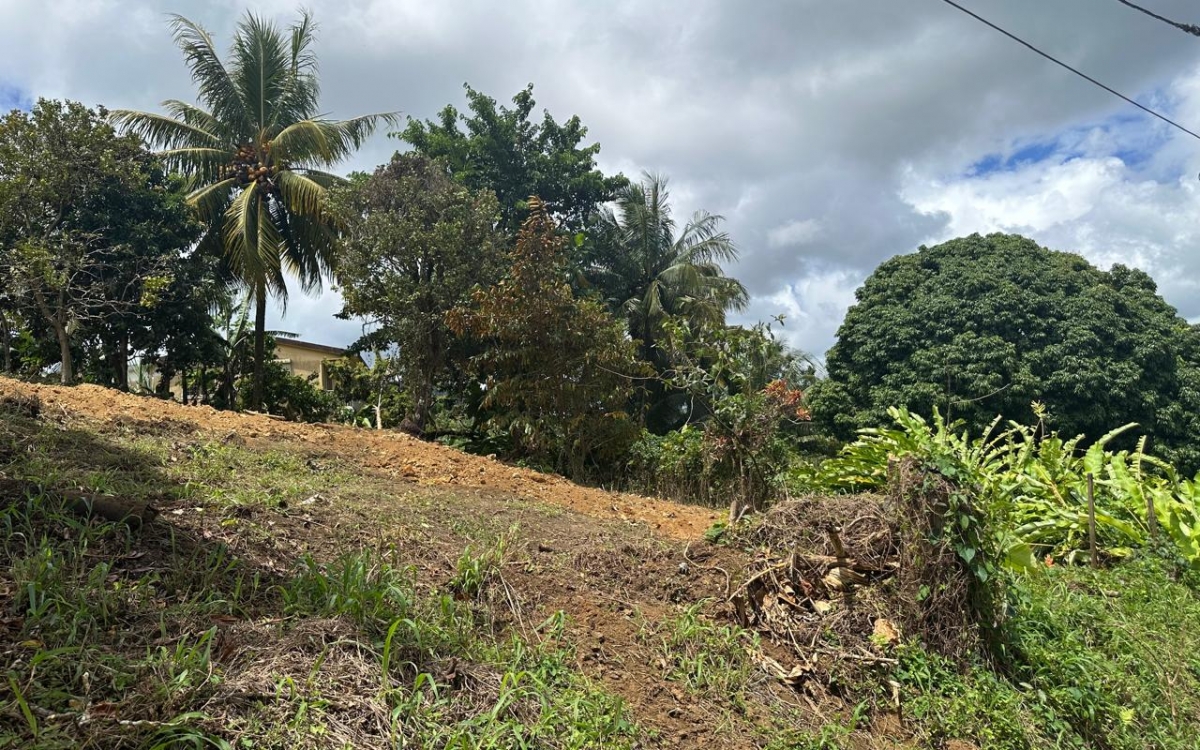 TERRAIN  CONSTRUCTIBLE 780M²