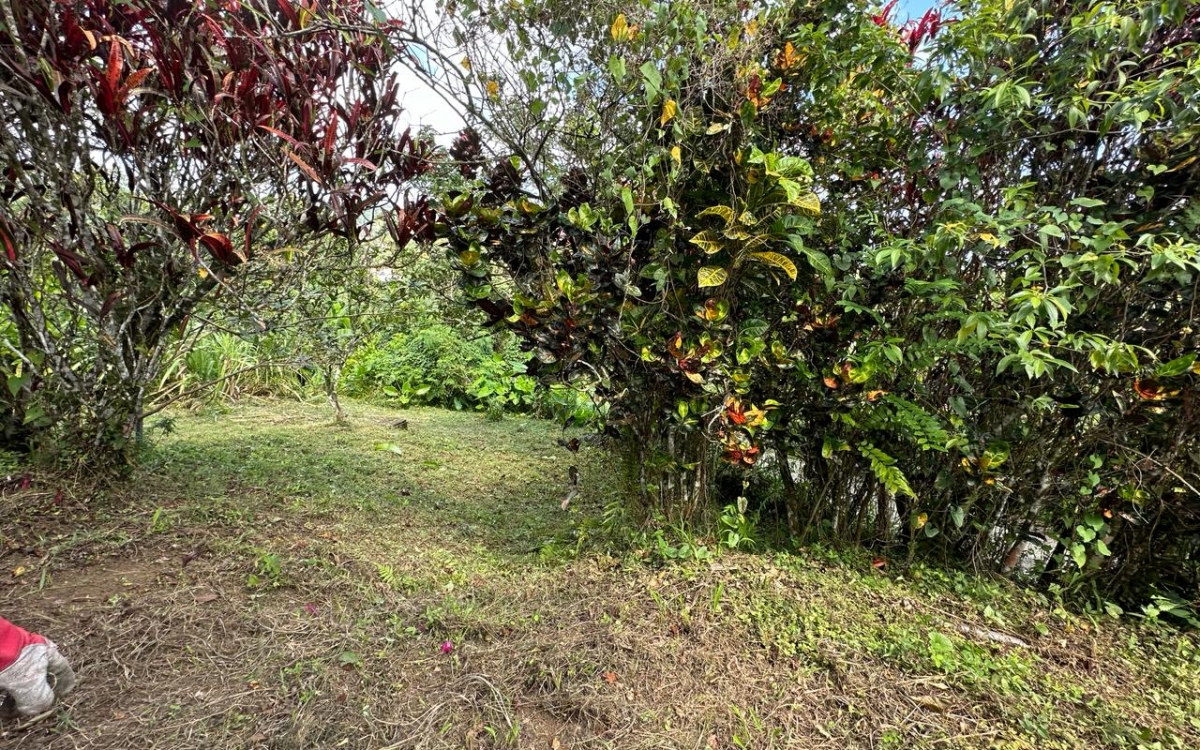 TERRAIN  CONSTRUCTIBLE 780M²