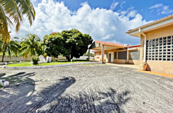 Vaste propriété de plain pied à proximité des commodités, vue mer et pitons - LE CARBET