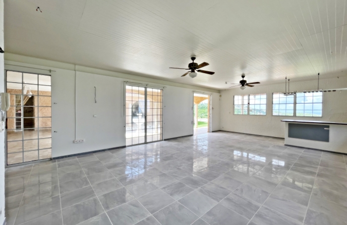 Vaste propriété de plain pied à proximité des commodités, vue mer et pitons - LE CARBET