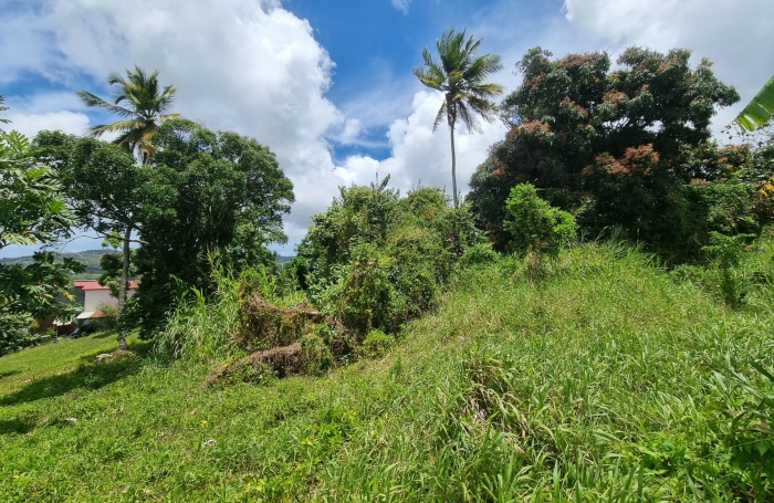 Vente Terrain Rivière Salée