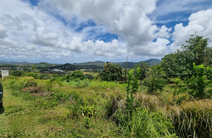 Vente Terrain Rivière Salée